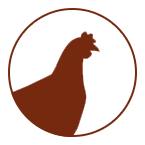 Farm share meat -Chicken